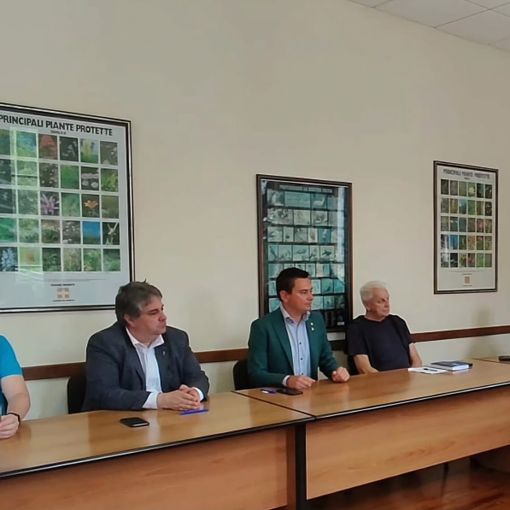 Danni maltempo, attribuito lo stato di emergenza anche per il Canavese