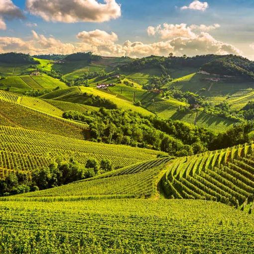 Coldiretti Piemonte: &quot;Caldo e vacanze di prossimità per 1 italiano su 3&quot;