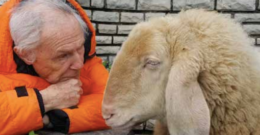 Al Maestro dell'animazione Bruno Bozzetto il Premio Stella della Mole Green