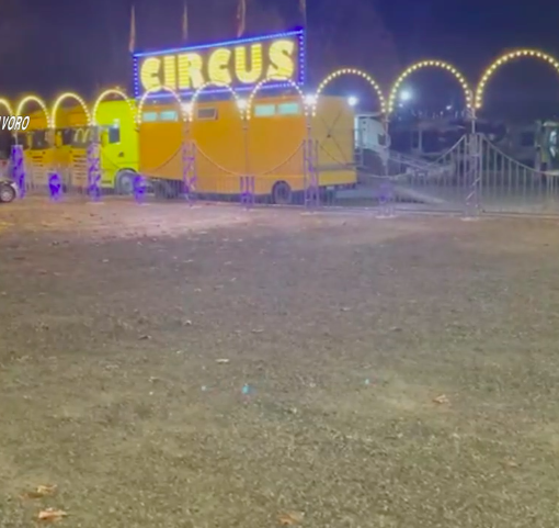 Condizioni di lavoro umilianti nel circo, gestore sotto accusa per caporalato