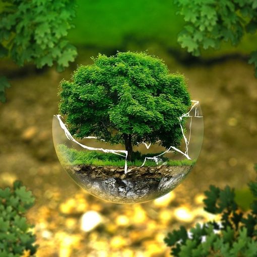 Pubblicato il bando regionale per le &quot;green economies&quot;