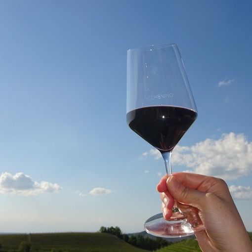 Coldiretti Piemonte, commercio estero: &quot;Vino primeggia nell’export ed il cibo made in Italy cresce&quot;