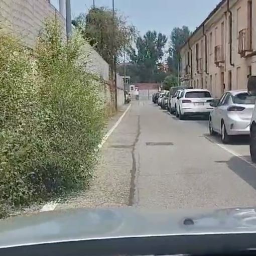 Erba alta sul passaggio pedonale e in strada delle Ghiacciaie non si passa più
