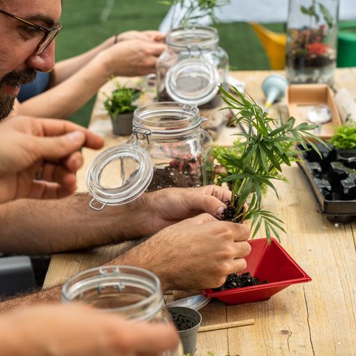 Festival del Verde, al via la seconda edizione: oltre 150 appuntamenti diffusi tra giardini, orti urbani e parchi pubblici