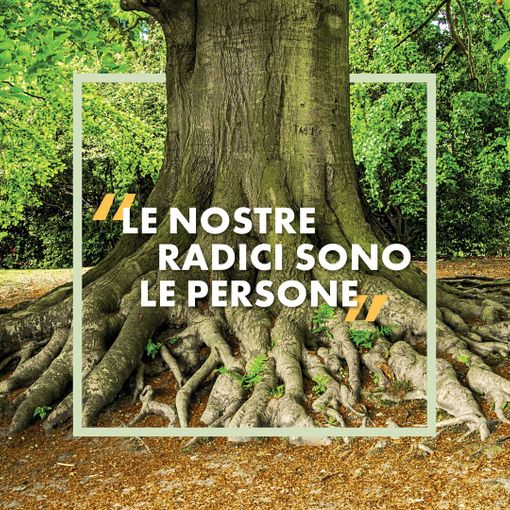I quattro elementi: la nuova campagna di comunicazione 2025 per raccontare BTM – Banca Territori del Monviso