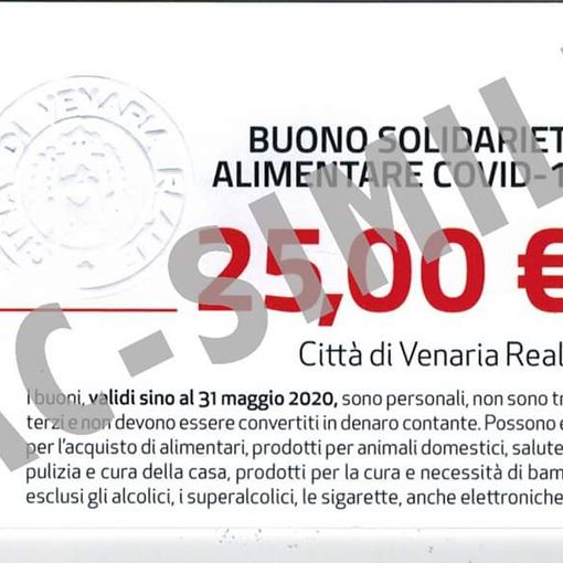 Buoni Spesa, a Venaria sono state accolte 854 domande per oltre 196mila euro