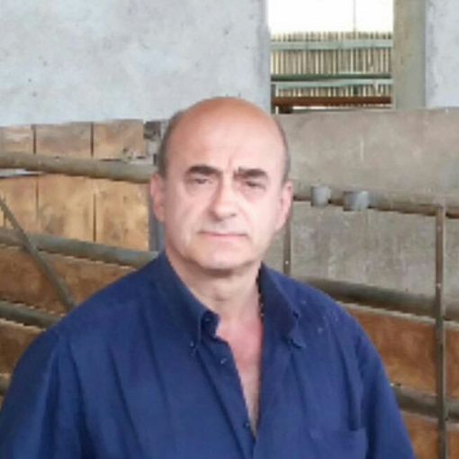 Maltempo, appello della Cia sul dramma degli animali