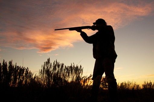 Tremila firme raccolte in pochi giorni per chiedere il divieto di caccia la domenica