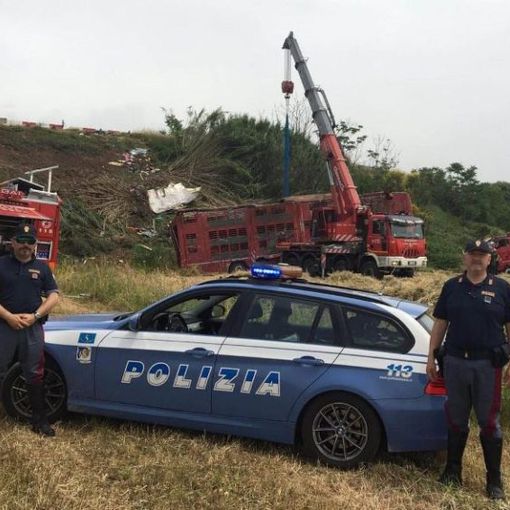 Mezzo pesante si ribalta nel grossetano, morti 30 vitelli: alla guida autista di Cavour