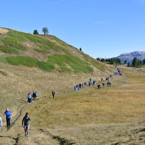 Iniziano il 24 febbraio da Brozolo le escursioni del progetto &quot;Sentiero Verde 2019&quot;