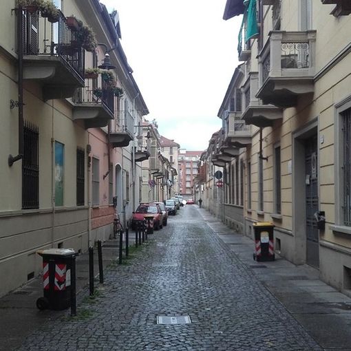 “Alberi e non fioriere per Campidoglio e Basso San Donato”