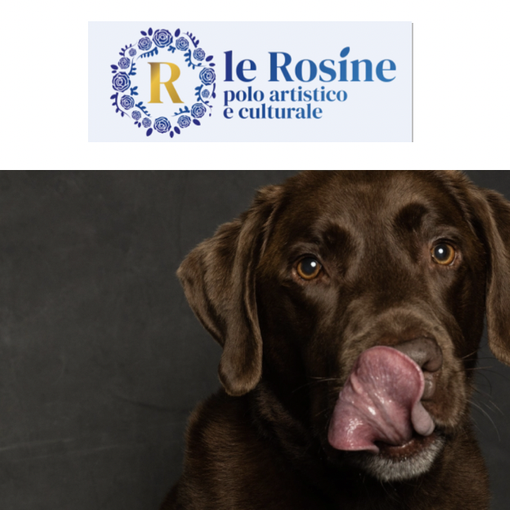 A Torino un corso per comprendere il cane e imparare il suo linguaggio