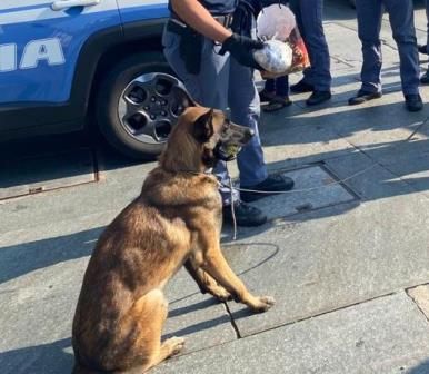 Trovato in possesso di 260 grammi di marijuana, in manette 23enne nigeriano