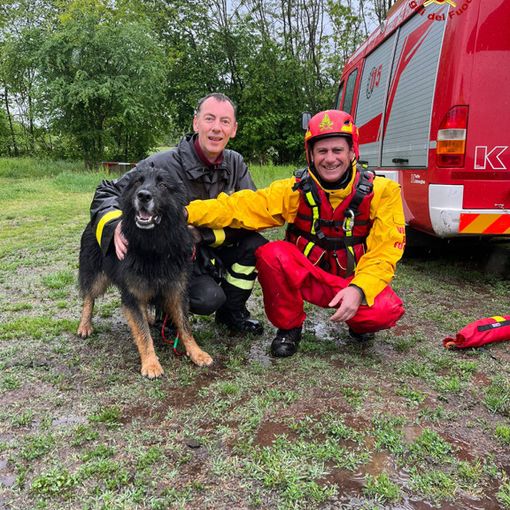 Un pastore tedesco finisce nella Stura: salvato dai vigili del fuoco con l'elicottero [VIDEO]