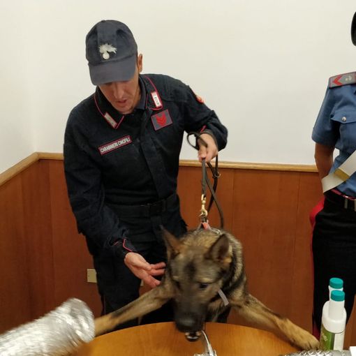 Operazione anti-spaccio a Torino e in Val di Susa: tra i clienti anche un papà che acquistava la droga portando con sè il figlio