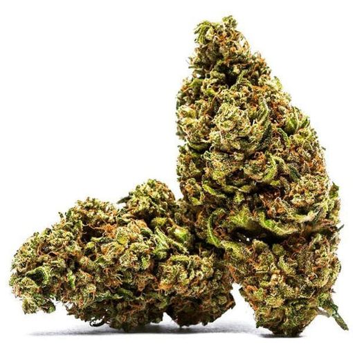 Cannabis, bocciato il referendum: ecco perché