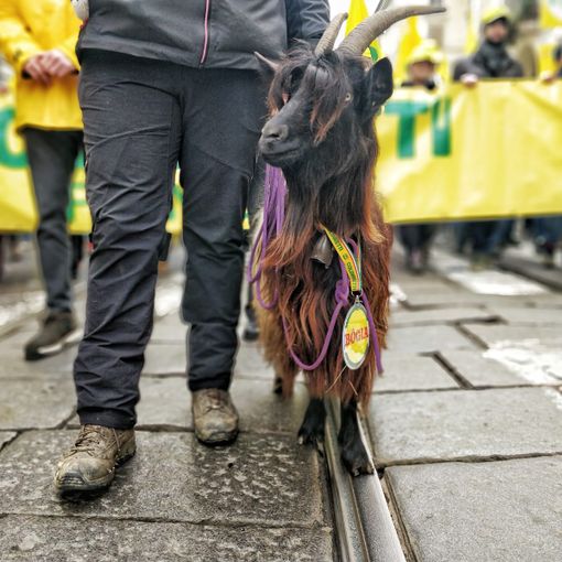 “Coldiretti Piemonte: dopo i 20 mila agricoltori in piazza a Torino arrivano i primi risultati”