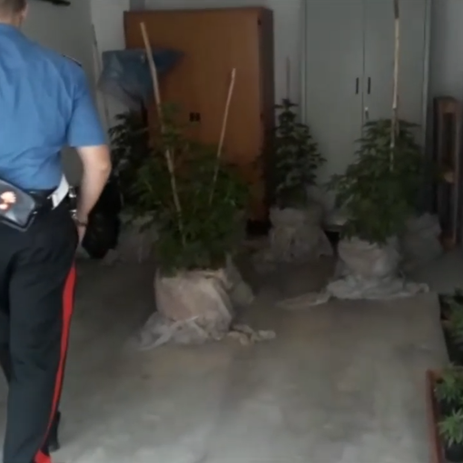 Ferragosto sicuro in città e nei Comuni turistici: tre persone arrestate per droga [VIDEO]