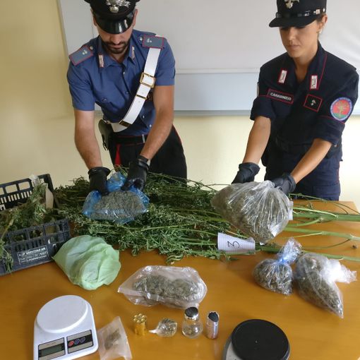 Chivasso, nell'orto cresceva la marijuana: in manette 40enne