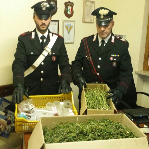 Cuorgné, nasconde due chili di marijuana in casa: arrestato dai carabinieri (VIDEO)