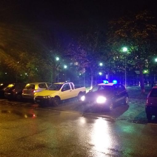 Pianezza, blitz dei carabinieri nel “giardino del fumo”: segnalate sei persone