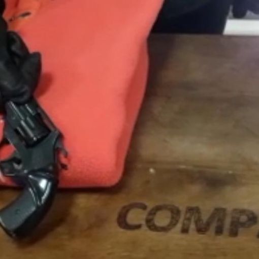 Pinerolo, a caccia di donne sole: Carabinieri arrestano pericoloso rapinatore armato di pistola e seghetto