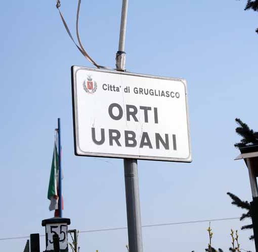 Orti urbani, a Grugliasco al via il bando di assegnazione: chi può partecipare e come