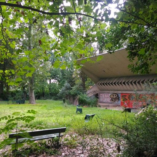 Rogo nella notte: a fuoco l'ex zoo di parco Michelotti, ancora da chiarire le cause