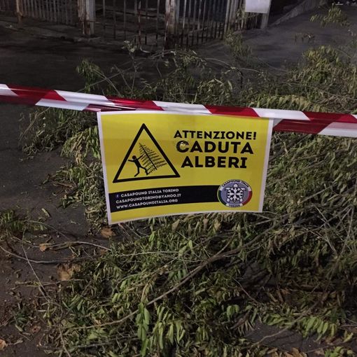 Blitz di CasaPound in corso Dante, pericolo caduta alberi