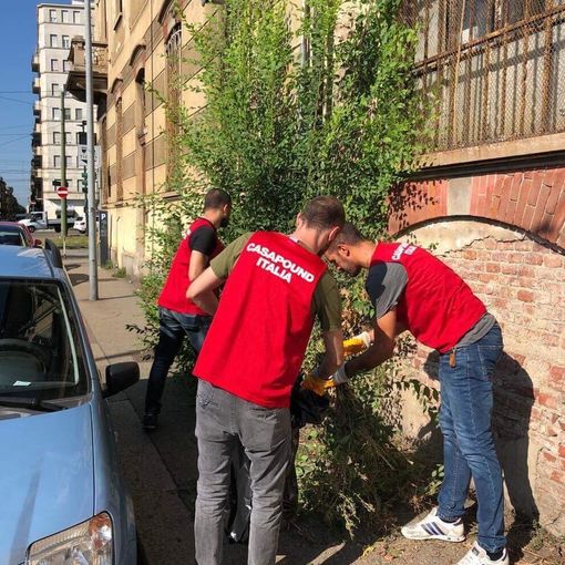 “Marciapiede invaso dagli arbusti: CasaPound ripulisce via Fontanesi”