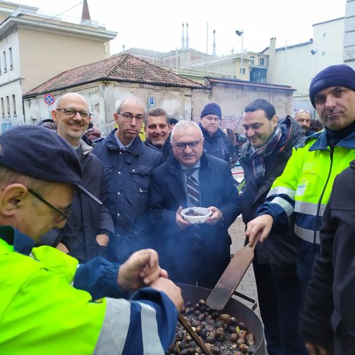 Coldiretti: &quot;Diminuisce la produzione, ma resta ottima la qualità delle castagne piemontesi&quot;