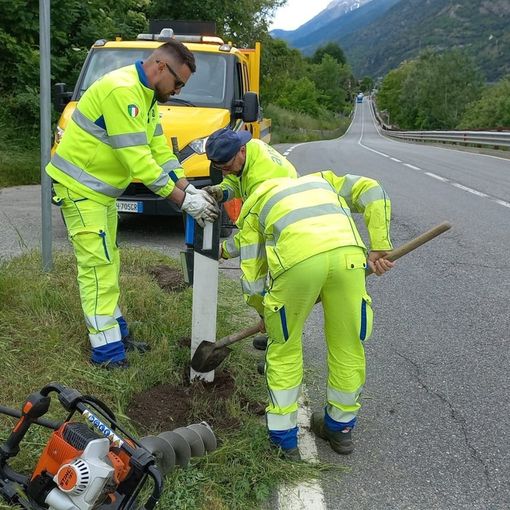 Catarifrangenti blu per prevenire gli incidenti con la fauna selvatica