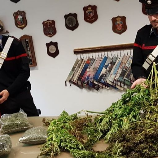 Blitz al campo nomadi di Piossasco: tre arresti e 17 kg di marijuana sequestrati