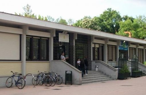 cinema sotto le stelle al grosa