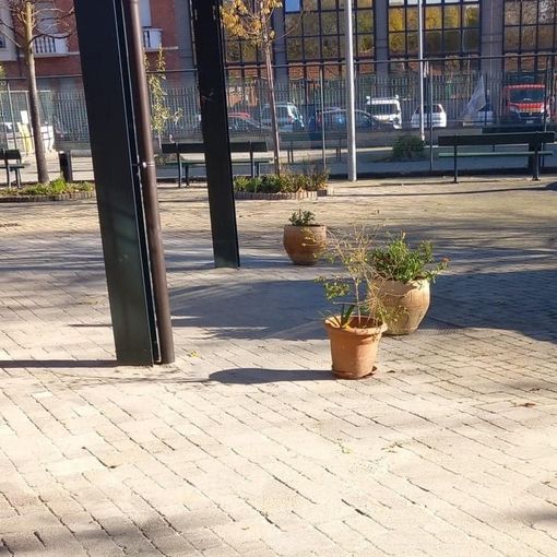 Vanchiglietta, finiti i lavori di riqualificazione: tutto pronto per il Centro d'Incontro di corso Belgio