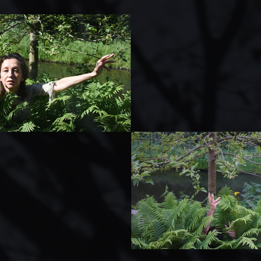 Se Ofelia nella natura rappresenta tutte le donne: l'ultimo lavoro tra danza e poesia della torinese Laura Fusco