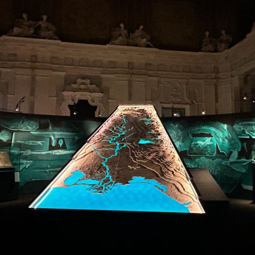 Dai delfini alla plastica, come è cambiato il Fiume Po: a Palazzo Madama apre la mostra Change. Ieri, oggi, domani