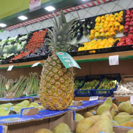 Giornata del cibo sicuro, Coldiretti: &quot;Accelerare su etichettatura per i trasformati della frutta&quot;