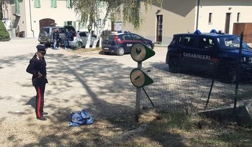 Bambina investita davanti all'asilo di Chieri: condizioni stabili, ma gravissime