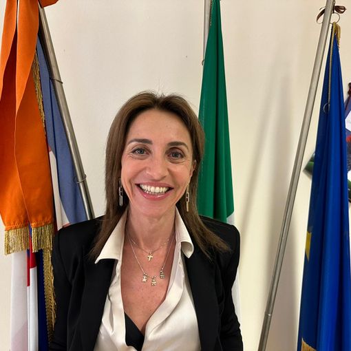 Blutec salva, la soddisfazione dell'assessore Chiorino: &quot;Ottima notizia per il sistema lavoro del Piemonte&quot;