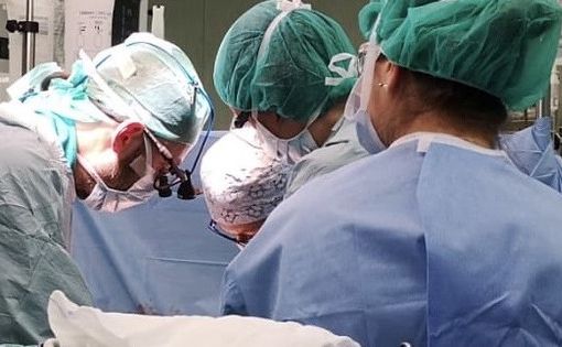 Scoperto un gene che provoca il rigetto nei trapianti di organo