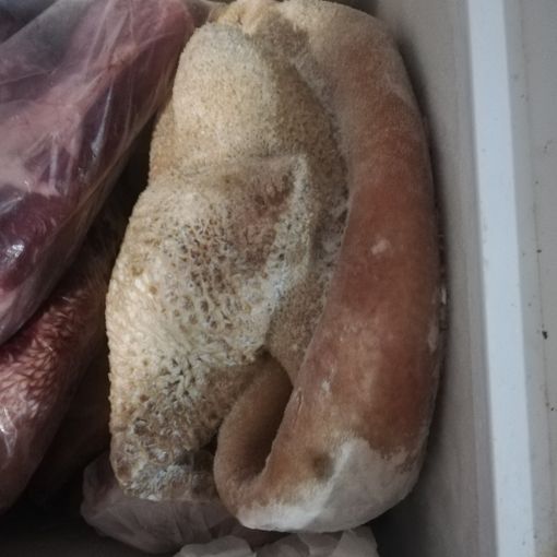 cibo mal conservato e sequestrato
