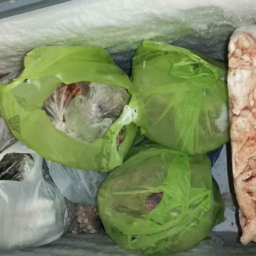 Controlli a San Salvario: sequestrati 200 chili di cibo mal conservato, multe per 63 mila euro
