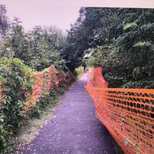 Ciclabile di strada Settimo e lungo Stura Lazio, Petrarulo: &quot;Condizioni vergognose&quot;