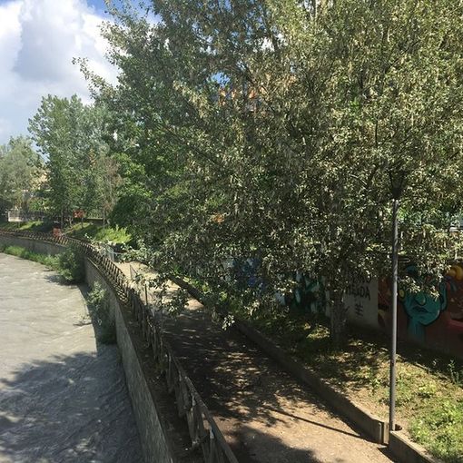 La Circoscrizione 4: “Più attenzione per la ciclabile dell'area ex Paracchi”
