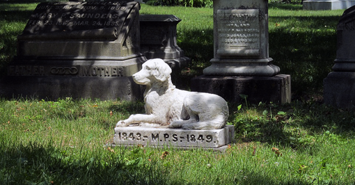 A Torino un camposanto per animali vicino al cimitero Parco