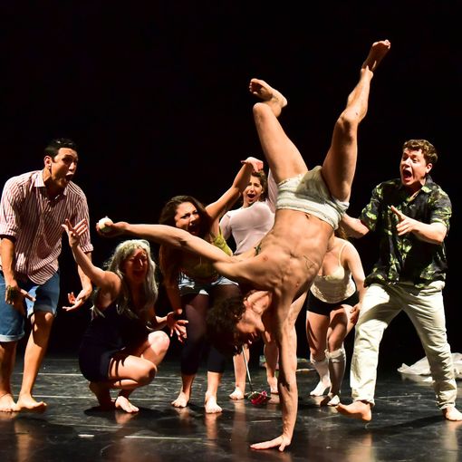 &quot;Puzzle&quot; Circo in Pillole