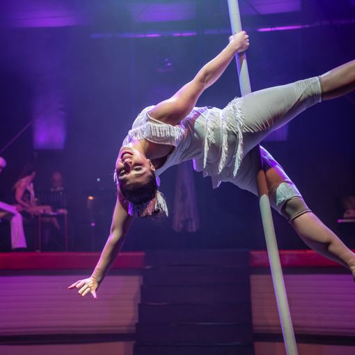 Capodanno al Café Müller di Torino e a Le Serre di Grugliasco con Cirko Vertigo