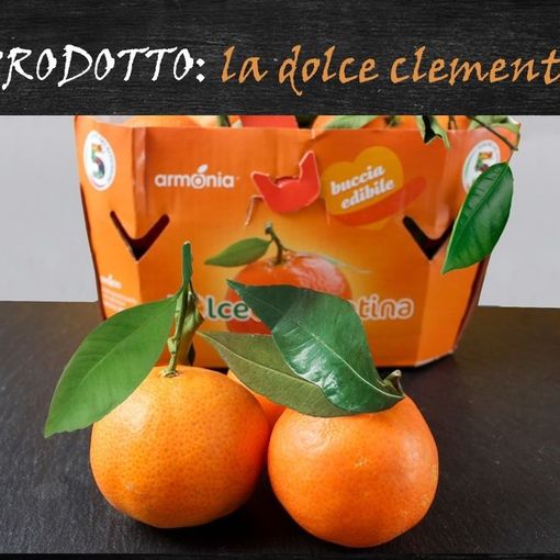 Felici &amp; Veloci: la nuova Ricetta AutograFATA di Fata Zucchina. Oggi prepariamo la &quot;Clementina Donata&quot;