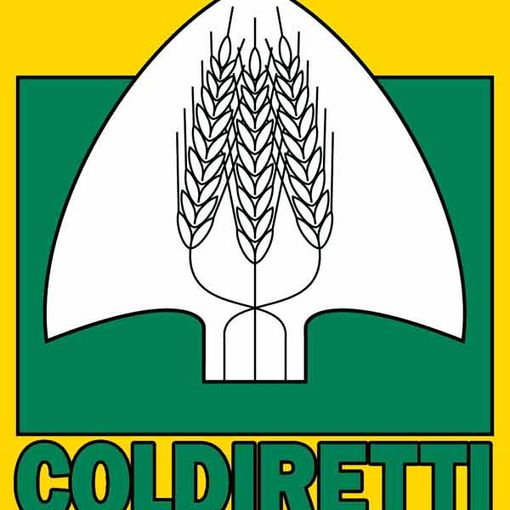 Coldiretti Piemonte: trovare presto un'alternativa ai voucher in agricoltura